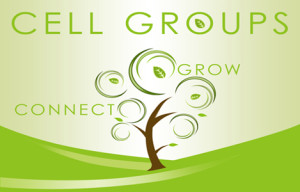 cell group