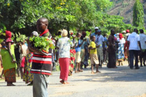 burundi_trees